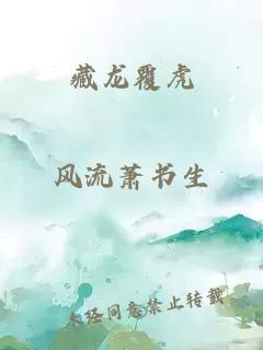 藏龙覆虎